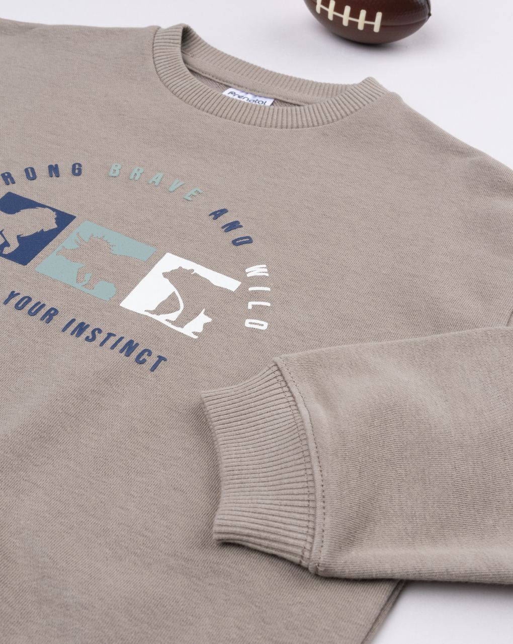 Felpa bimbo marrone stampa dinosauri