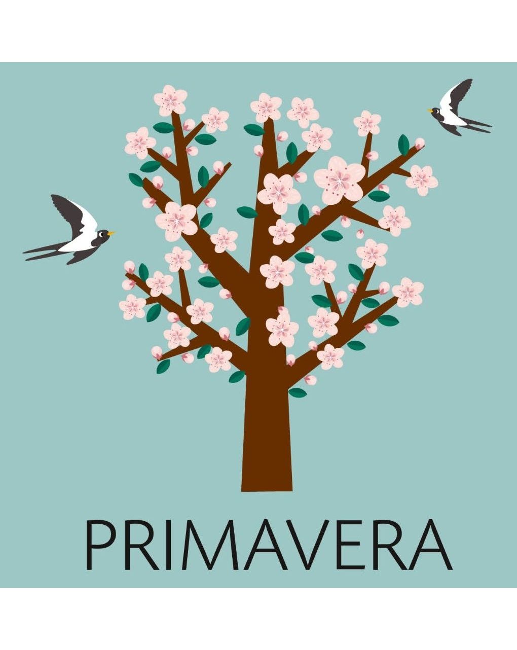 Prime scoperte cubotto libricini – 3+  – unisex