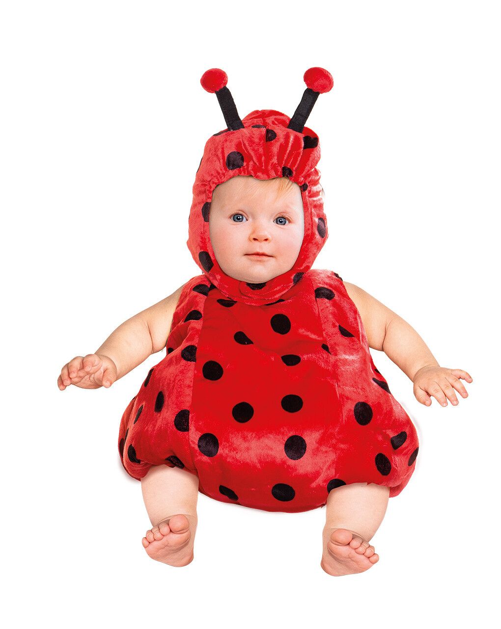 Costume carnevale coccinella baby neonato 6-12 mesi - carnaval queen