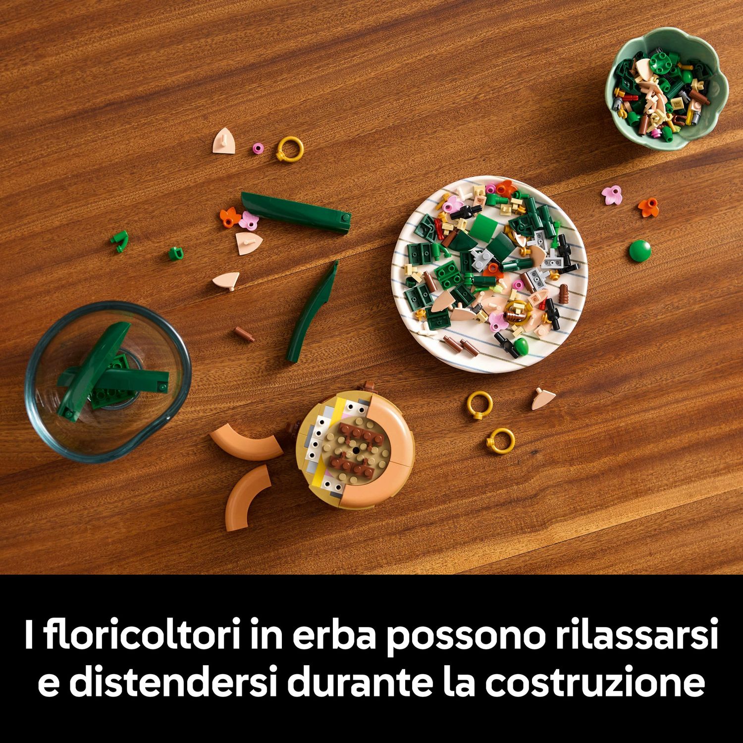 Lego botanicals mini-orchidea - 10343