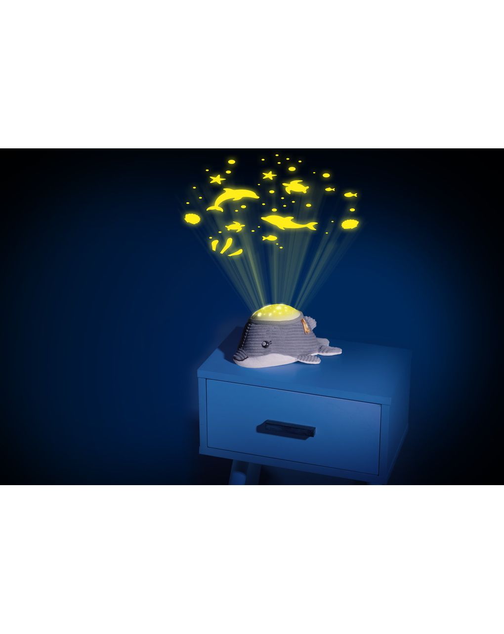 Delfino dolce notte