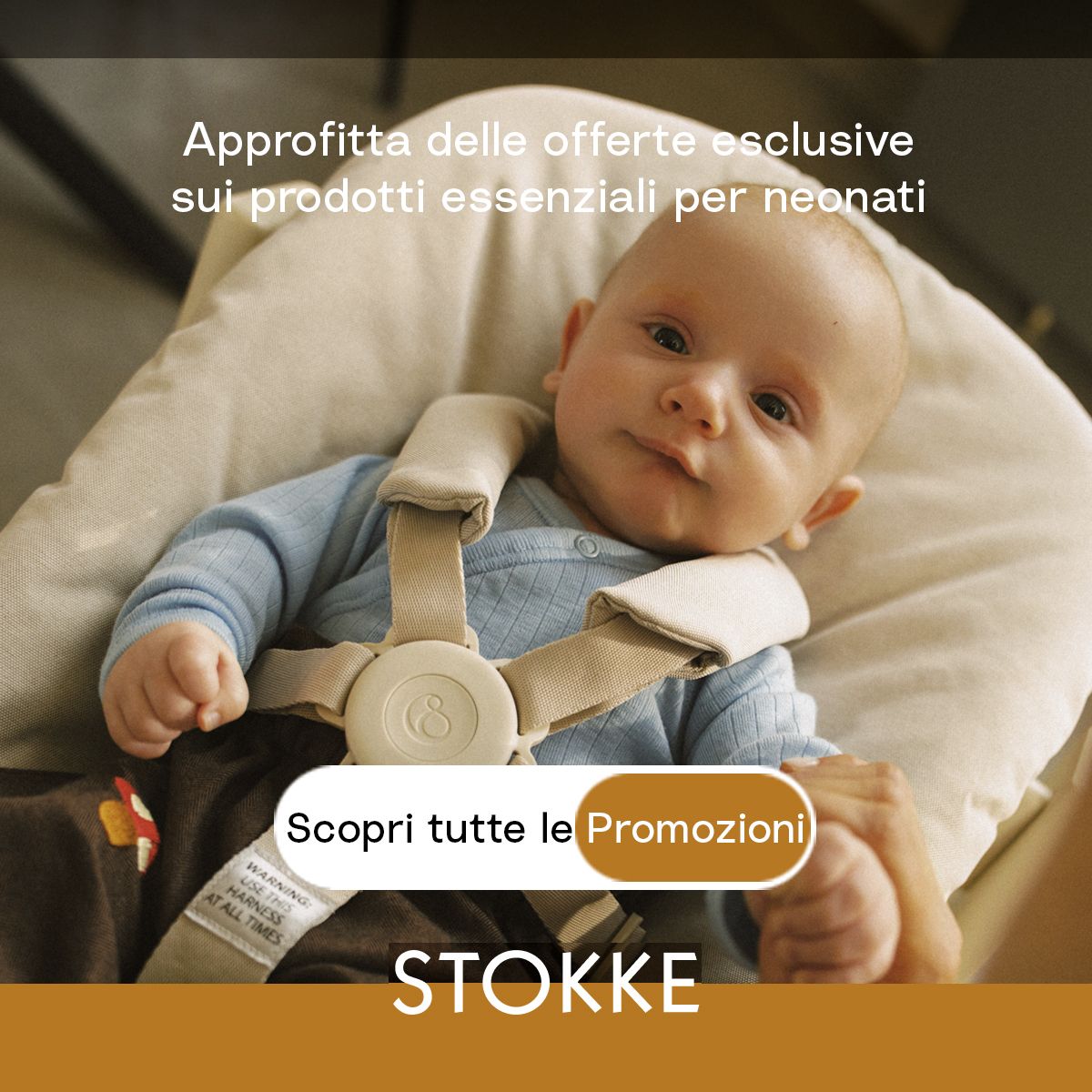 Stokke
