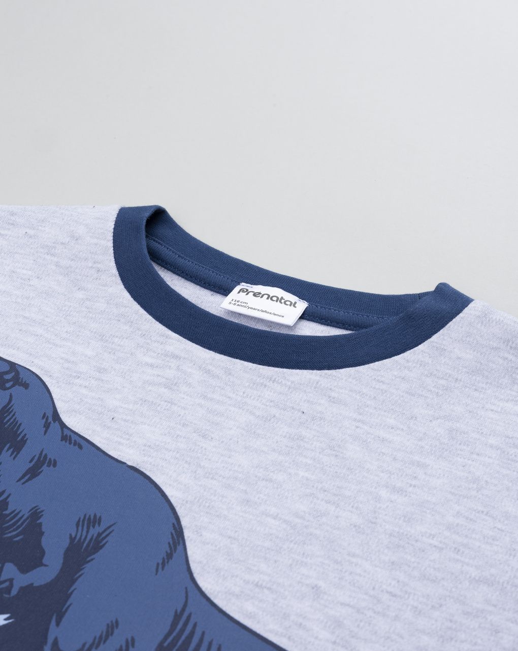 Pigiama 2 pezzi interlock bimbo grigo/blu dinosauri