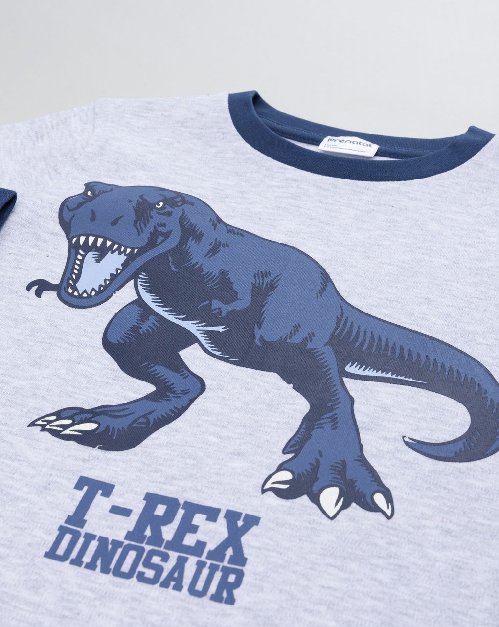 Pigiama 2 pezzi interlock bimbo grigo/blu dinosauri