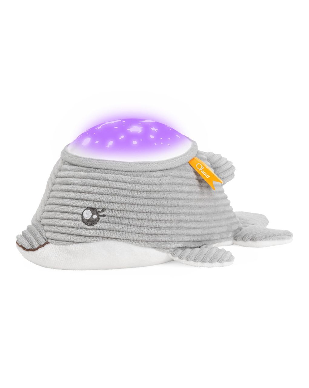 Delfino dolce notte