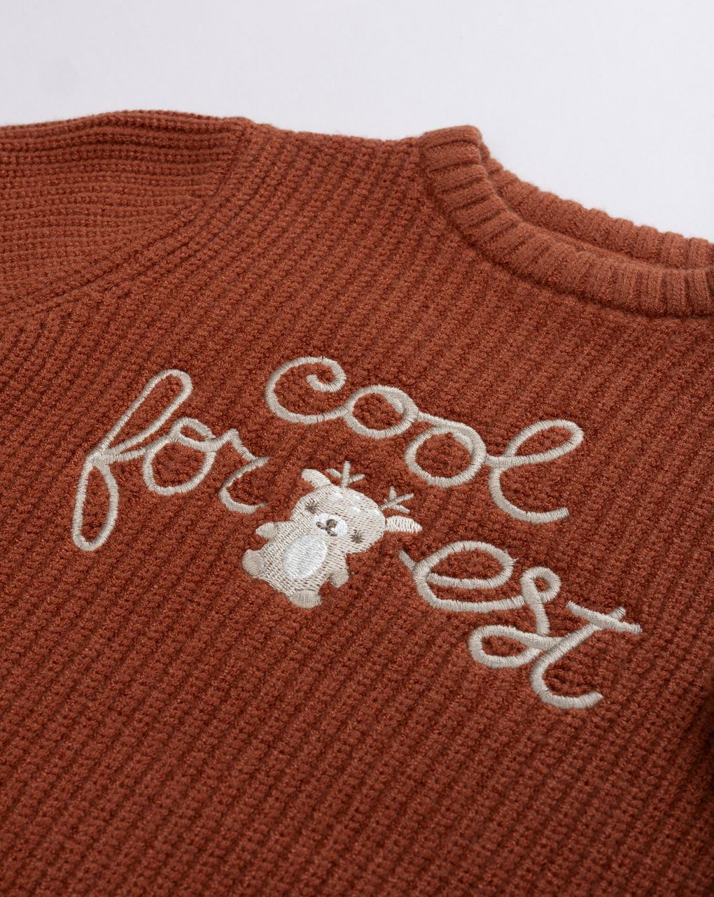Maglioncino ruggine bimbo in maglia ricamo "cool for forest"