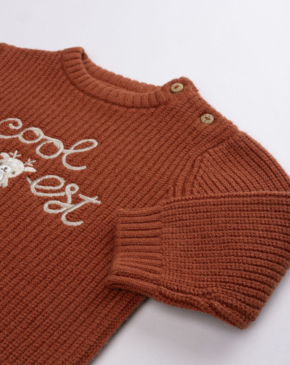 Maglioncino ruggine bimbo in maglia ricamo "cool for forest"