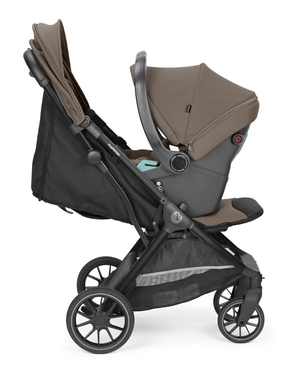 Passeggino x-country - pine bark - peg