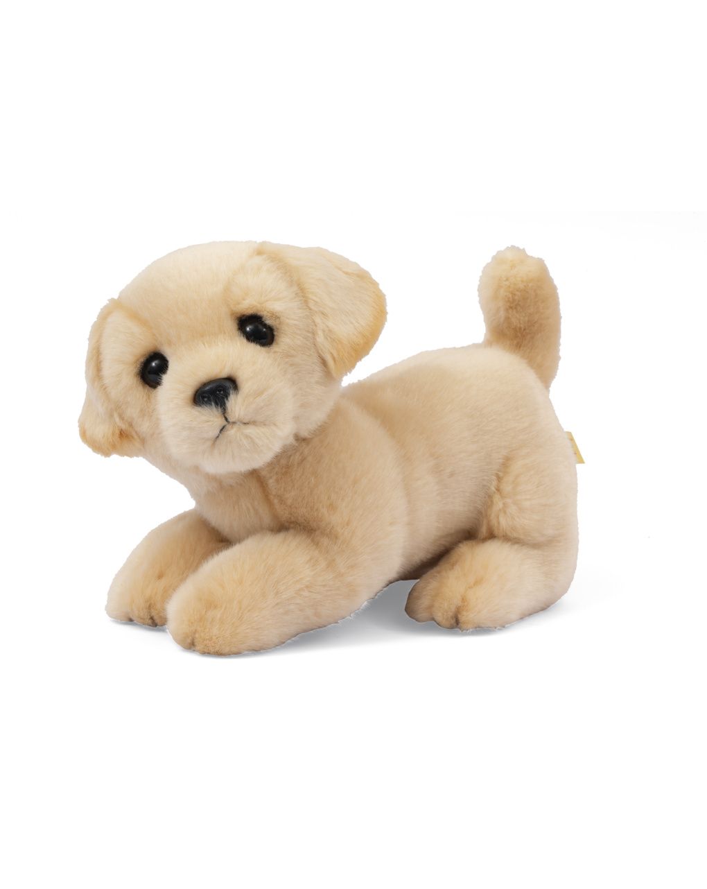 Peluche cagnolini seduti